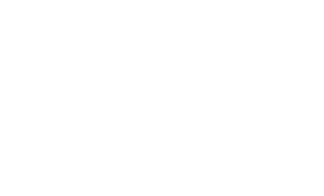 biomax logo big