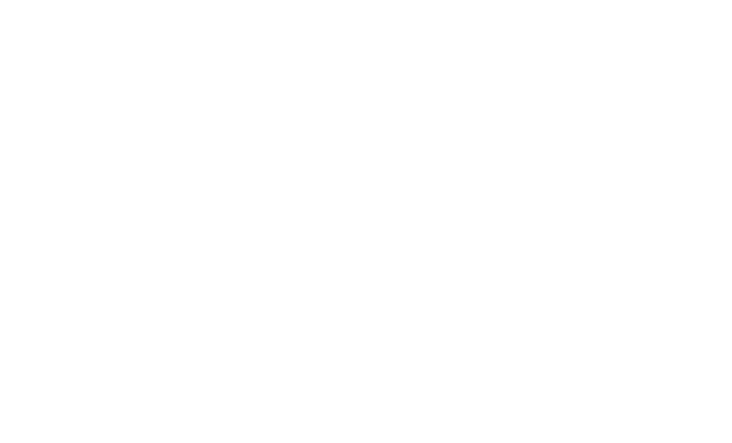 biomax logo big