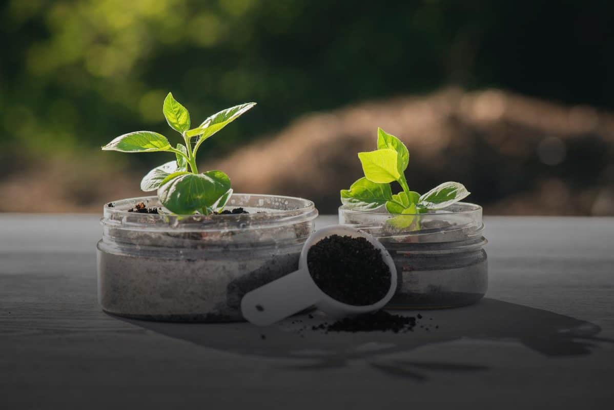 soil sampling jars and containers